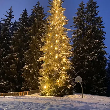 Im Stenna Vallada Direkt Bei Den Bergbahnen Appartamento *