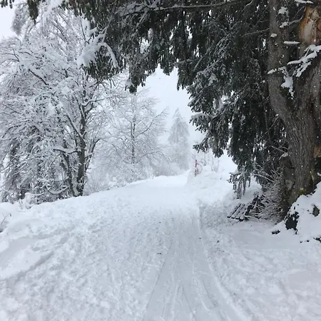 Im Stenna Vallada Direkt Bei Den Bergbahnen *