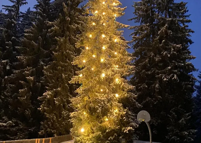 Im Stenna Vallada Direkt Bei Den Bergbahnen Apartment *
