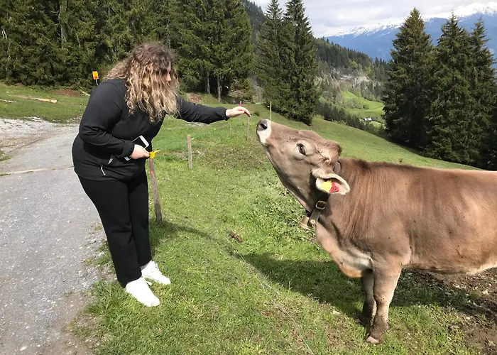Im Stenna Vallada Direkt Bei Den Bergbahnen Apartment