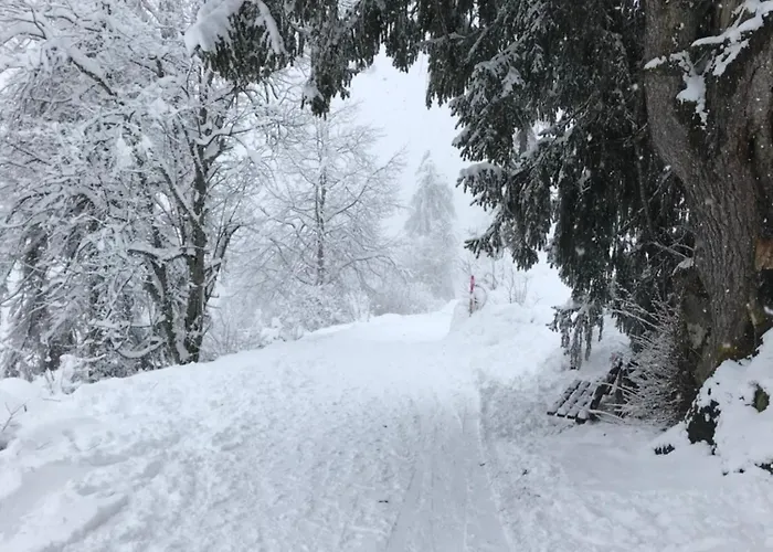 Im Stenna Vallada Direkt Bei Den Bergbahnen *