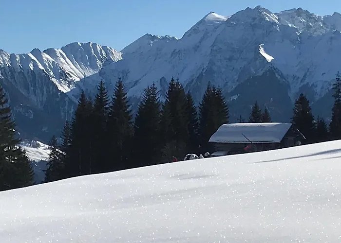 Im Stenna Vallada Direkt Bei Den Bergbahnen Apartment *